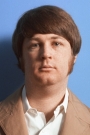 Brian Wilson Film ve Dizileri