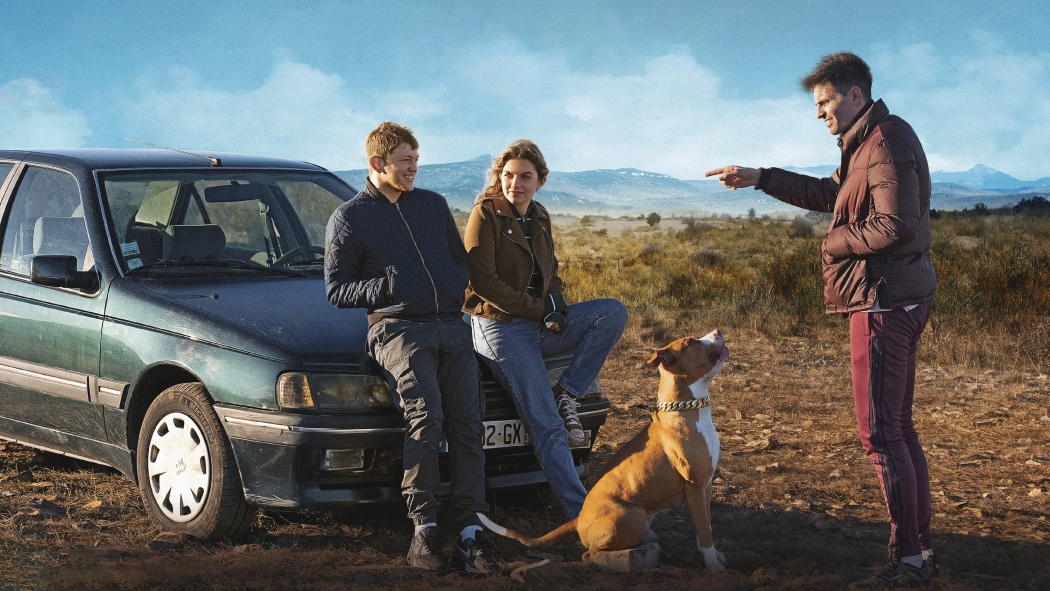 Chien de la casse izle