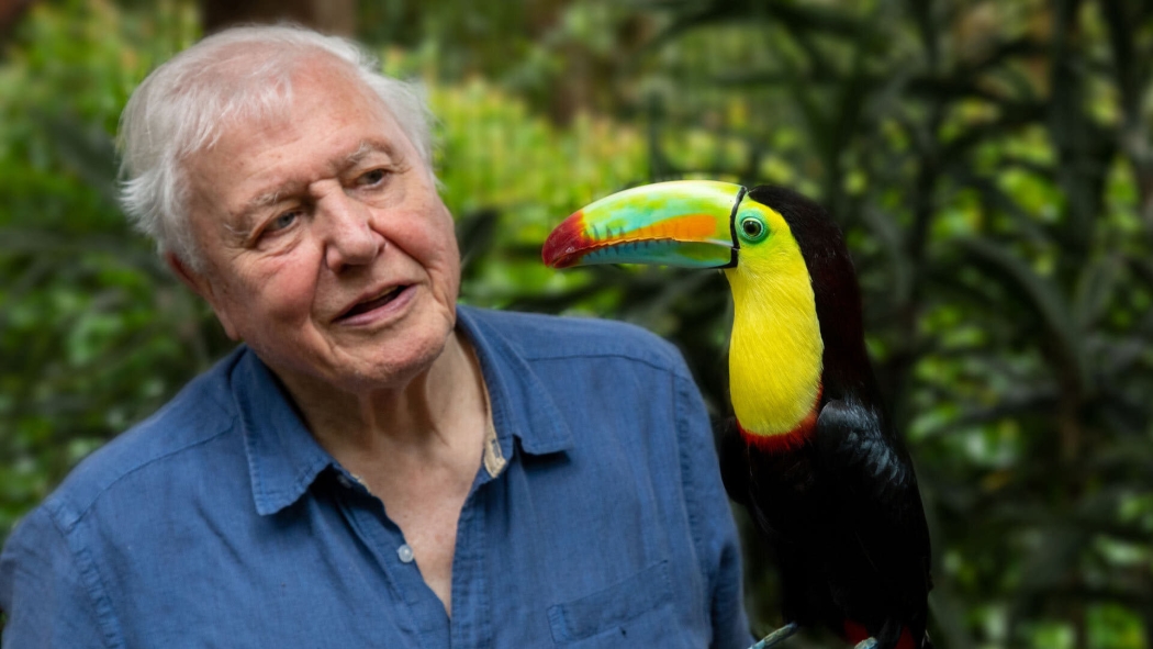 David Attenborough ile Yaşamın Renkleri 1. Sezon 2. Bölüm izle