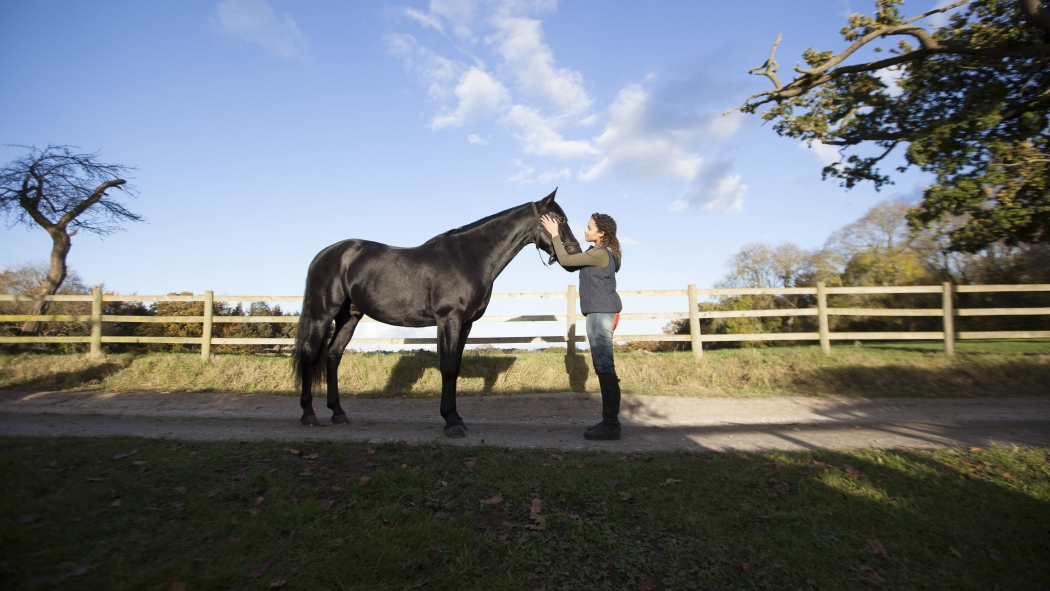 Kendini Özgür Bırak 2. Sezon 2. Bölüm izle