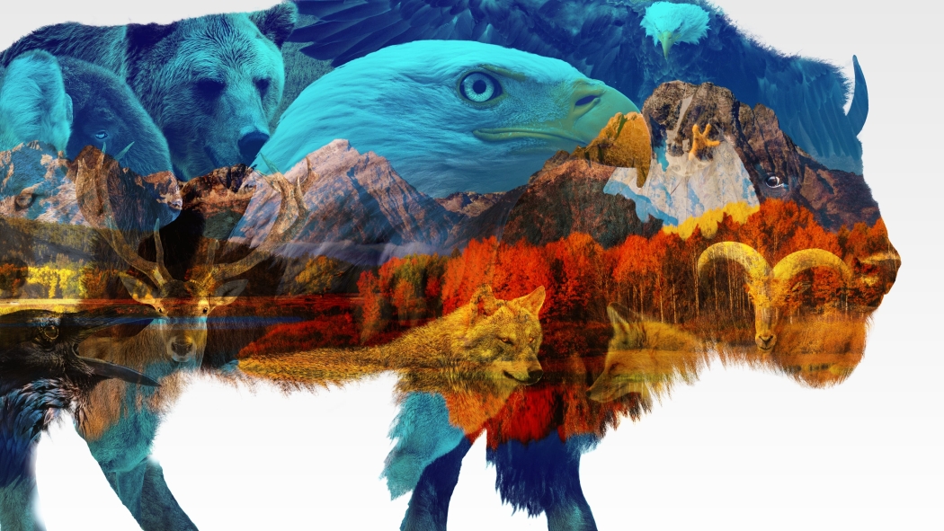 Vahşi Amerika 1. Sezon 3. Bölüm izle